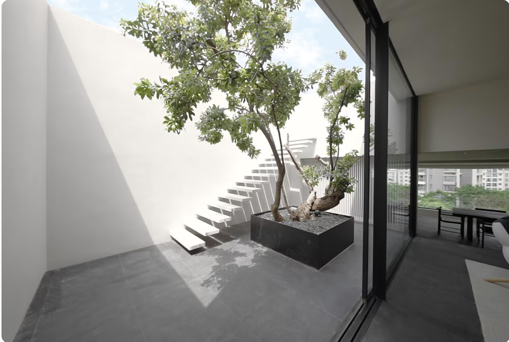A Tree of Life: CIVRO’s Minimalist Oasis